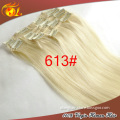 Hot sale factory price fashion color clip in virgin human hair